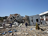国総研との共同調査